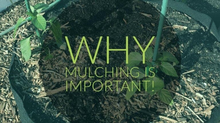 Mulching