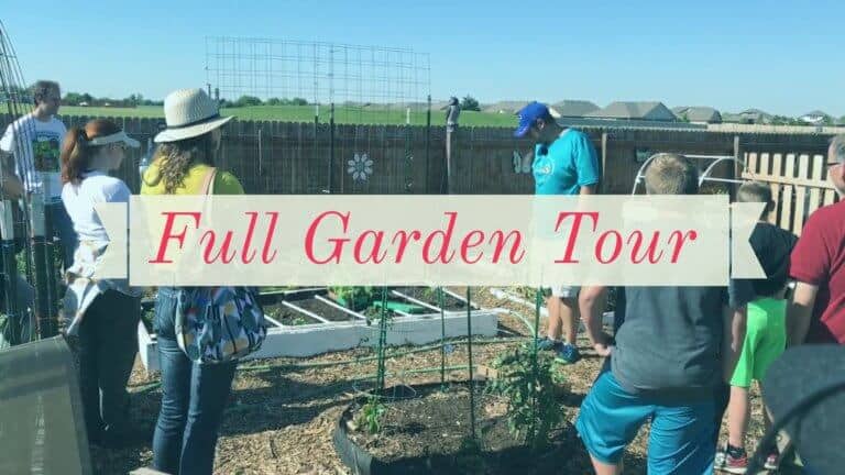 Full Garden Tour