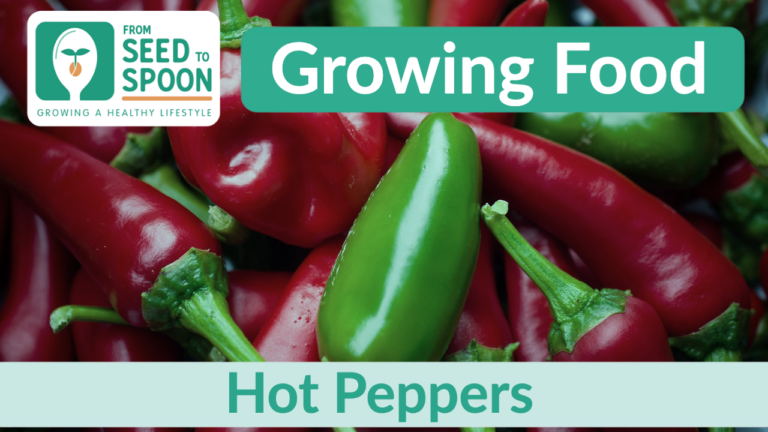 hot peppers