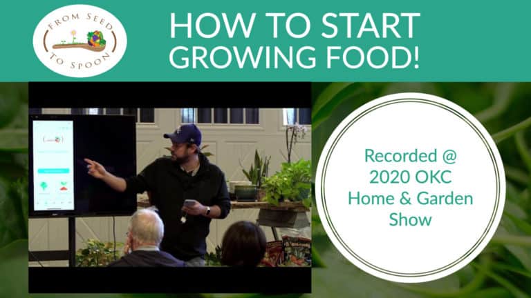 How to start growing food