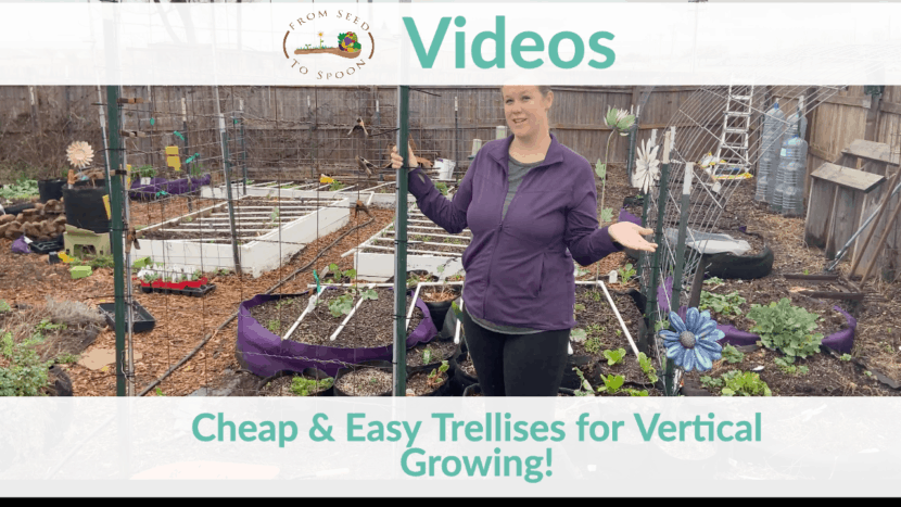 Mobile Vegetable Planter with Trellis
