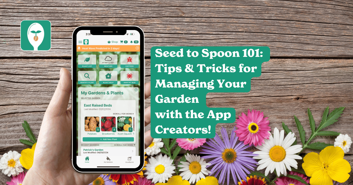 seed to spoon 101