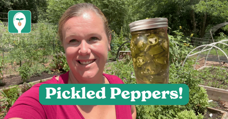 pickled peppers