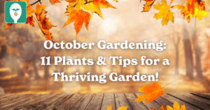 october gardening