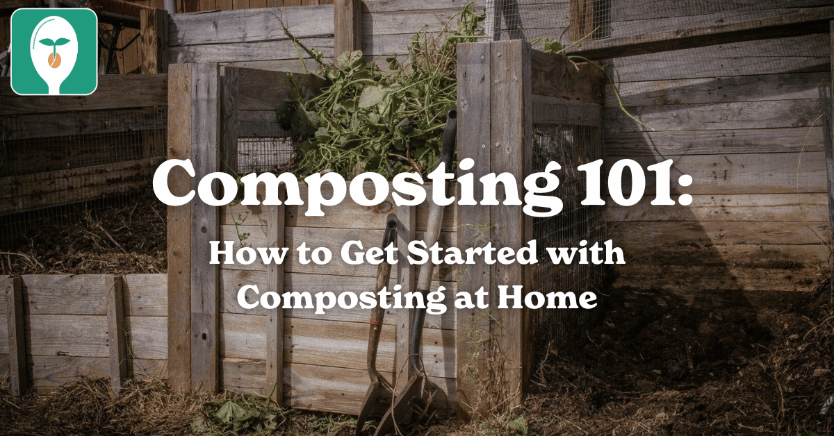 compost blog image