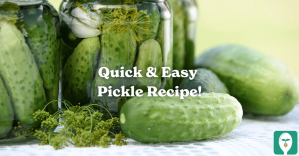 pickle recipe