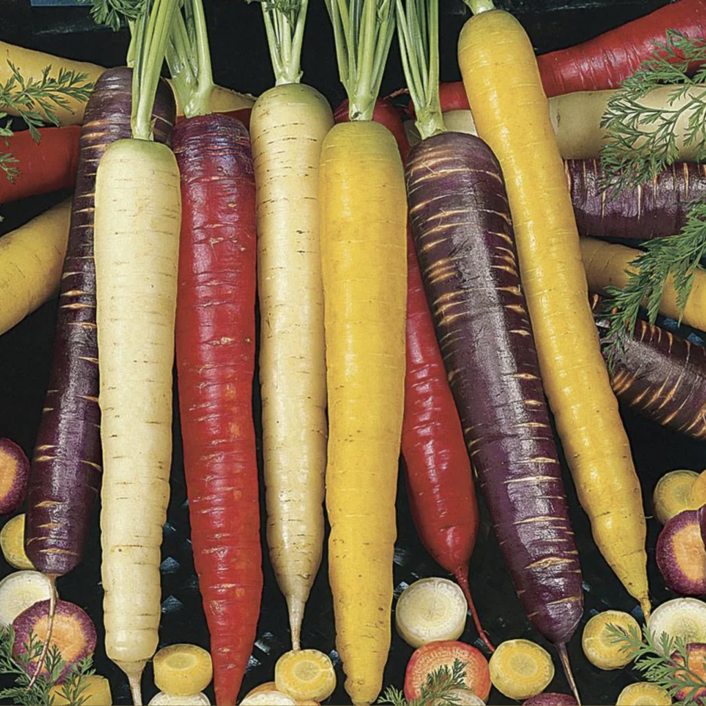 rainbow carrots